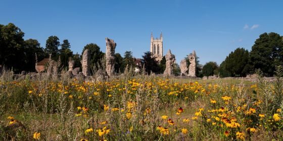 Abbey Gardens wildflowers 560x280