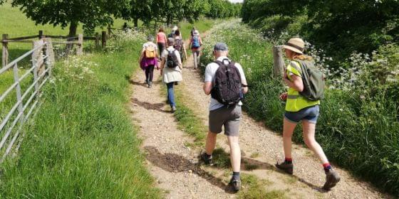 Discover Suffolk 560x280