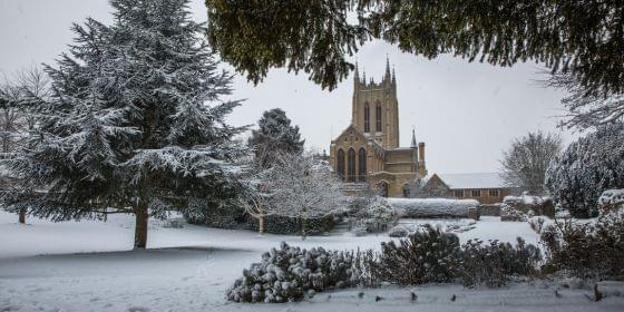 Festive walks 560x280