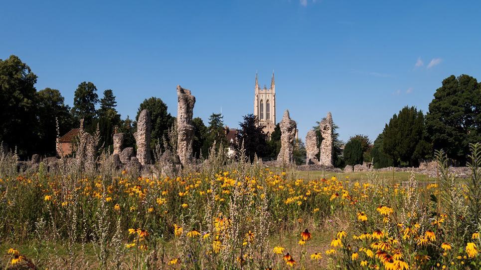 Abbey Ruins Wildflower Labyrinth Abbey Garden Rebecca Austin 965x540