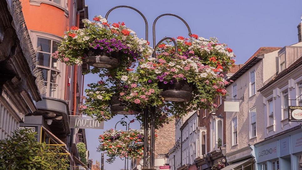Abbeygate Street Bury in Bloom Jo Sweetman