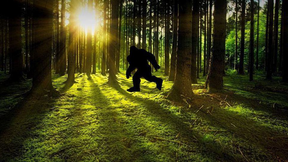 Bigfoot