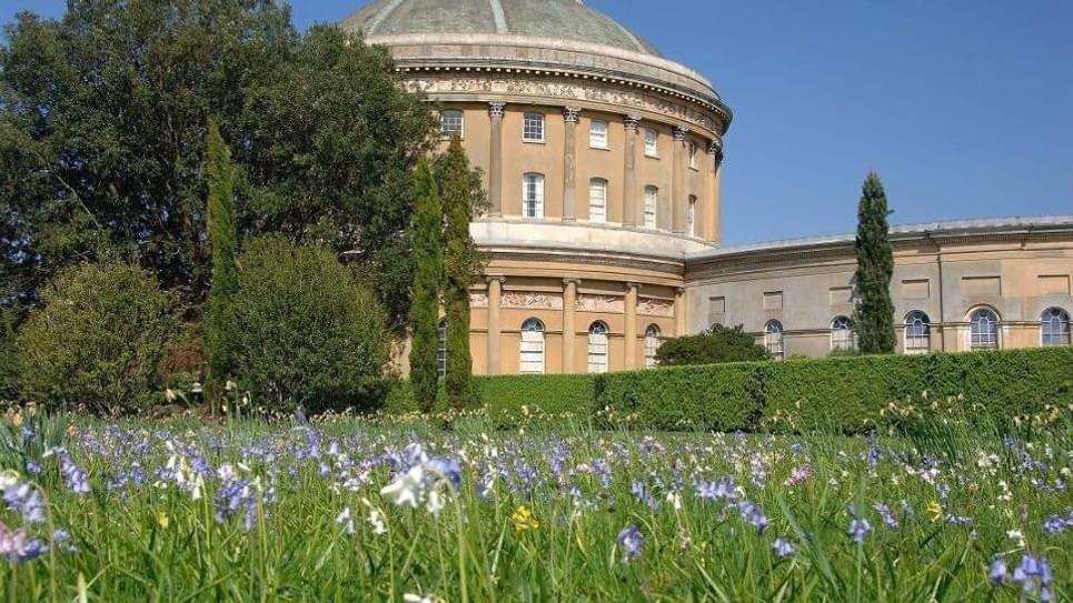 Bluebells Ickworth 965x540