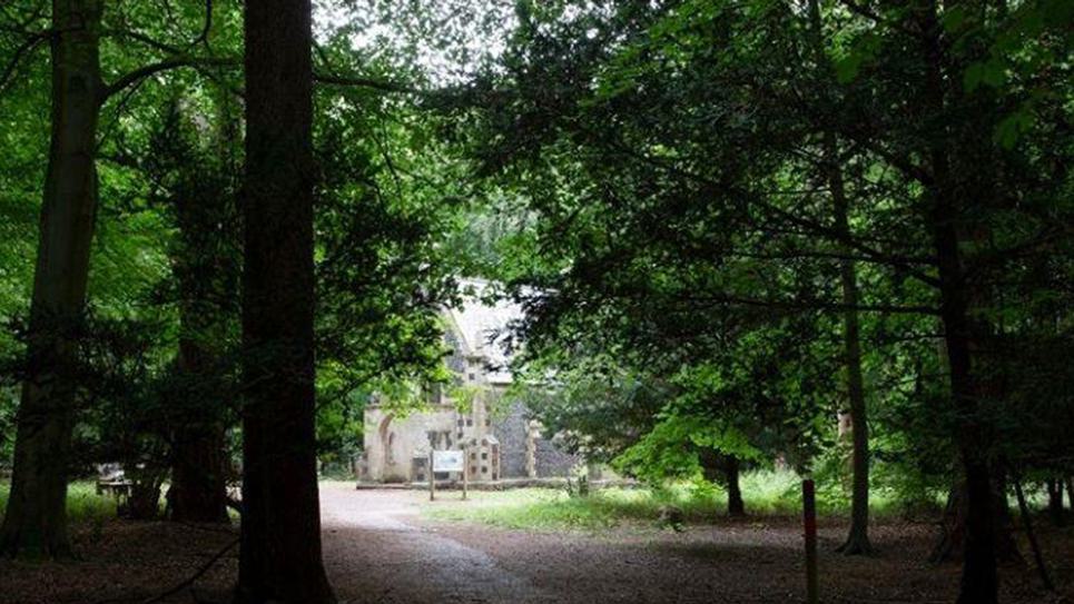 Brandon Country Park 965 x 540