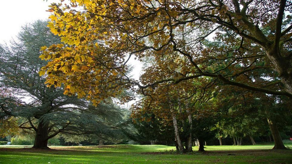Brandon Country Park BLOG