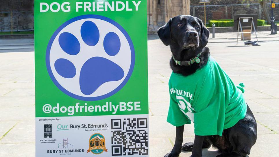 Dog Friendly Anniversary Loki 965x540