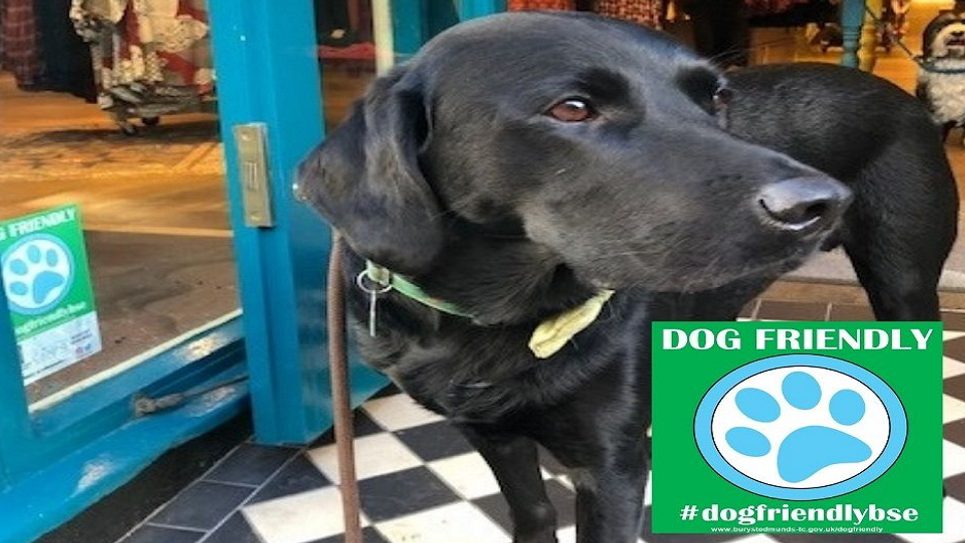 Dog Friendly Bury St Edmunds 965x540