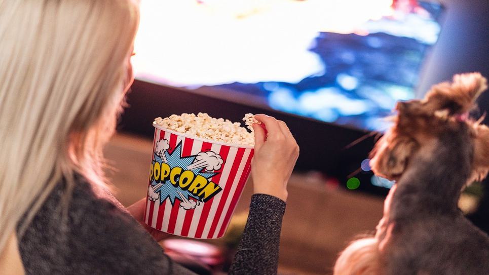 Dog Watching Movie Popcorn Pixaby 965x540