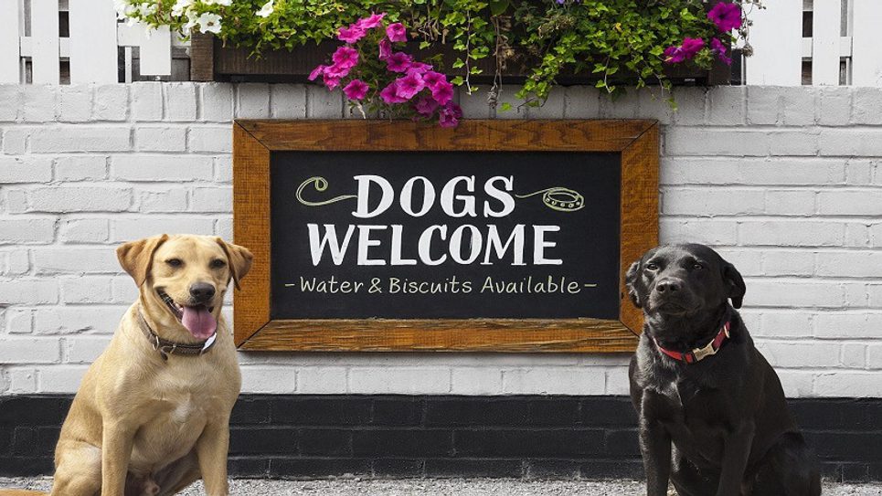 Dogs Welcome Sign The Fox Inn The Fox Inn BLOG