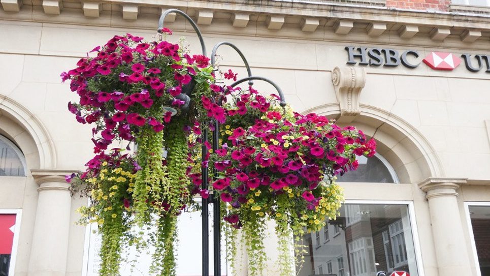 Flower baskets 2021 Bury in Bloom BLOG