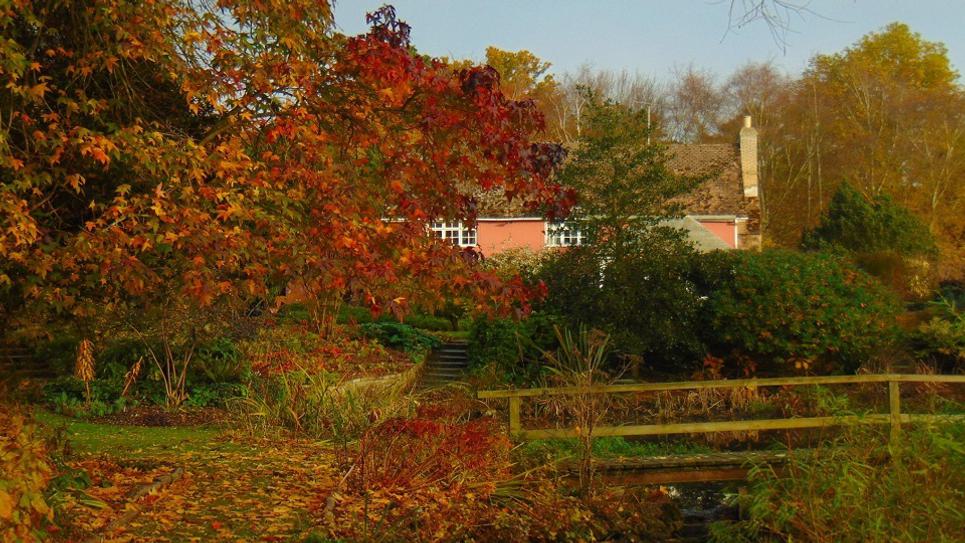Fullers Mill Garden autumn Lily Pardon 965x540