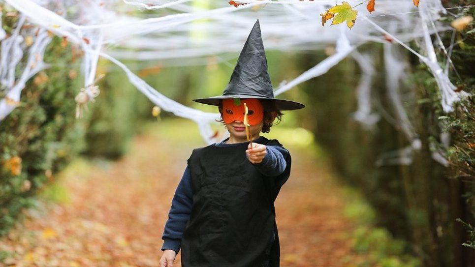 Halloweenies 4 BLOG