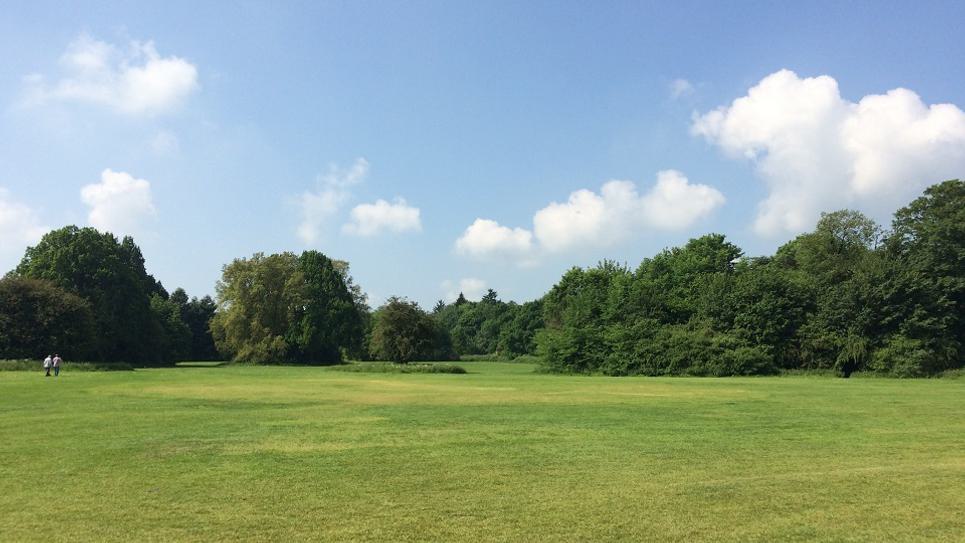Hardwick Heath Sue Warren 965x540
