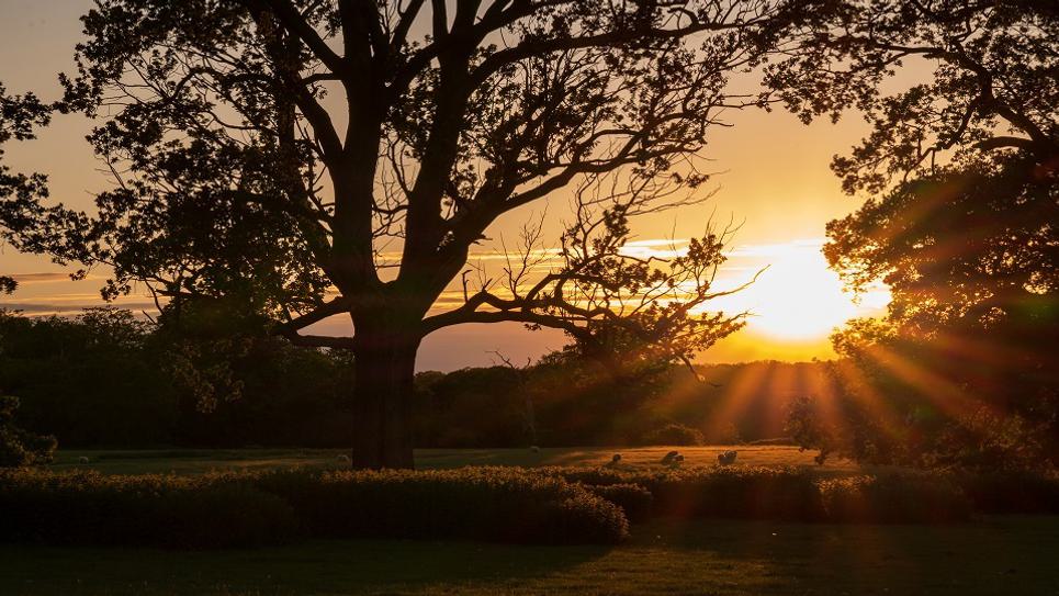 Ickworth Sunset Rebecca Austin 965x540