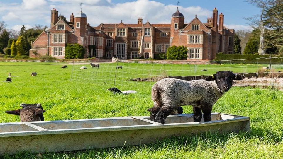 Kentwell Hall Spring Lamb Kentwell Hall 965x540