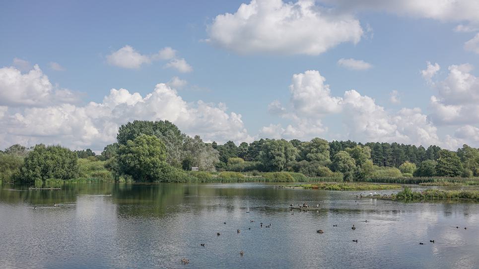 Lackford Lakes 965 x 540