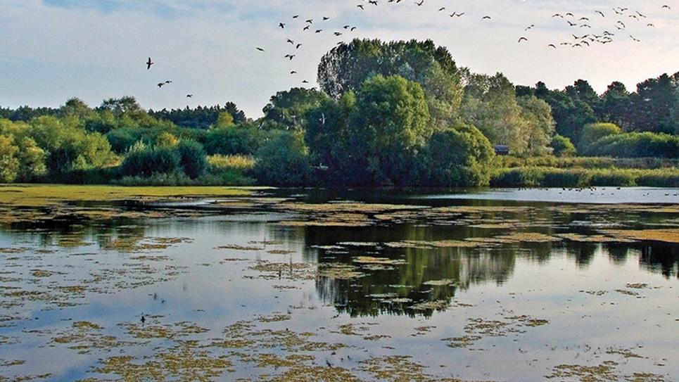 Lackford Lakes Resized for Blogs