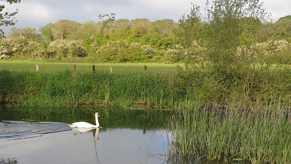 Long Melford Country Park 965x540