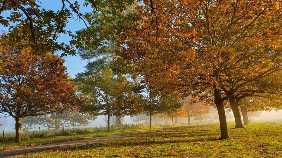 Melford Hall Autumn 965x540