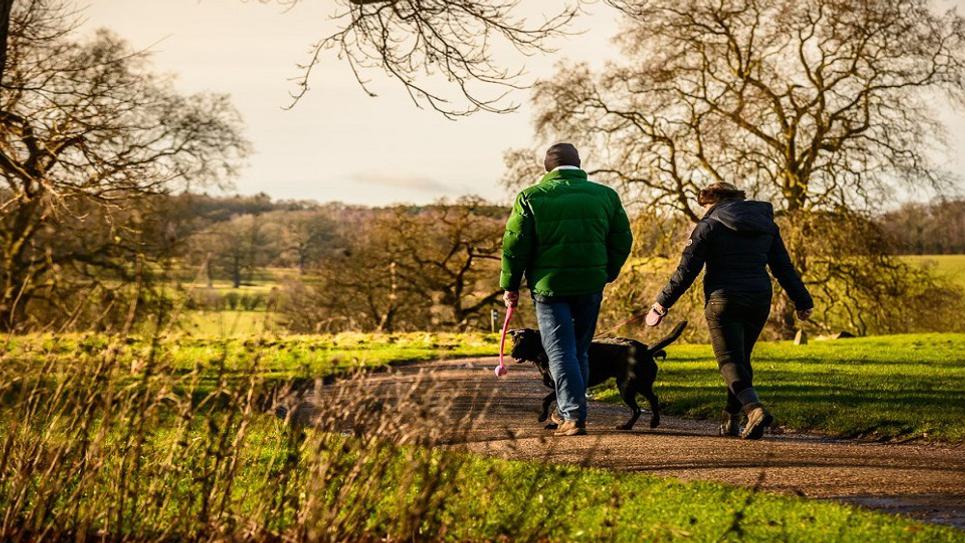 National Trust Ickworth Dog Friendly 965x540
