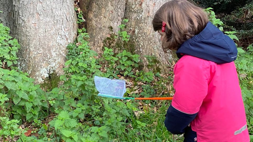 National Trust ickworth Child Looking for Insects Sue Warren 965x540