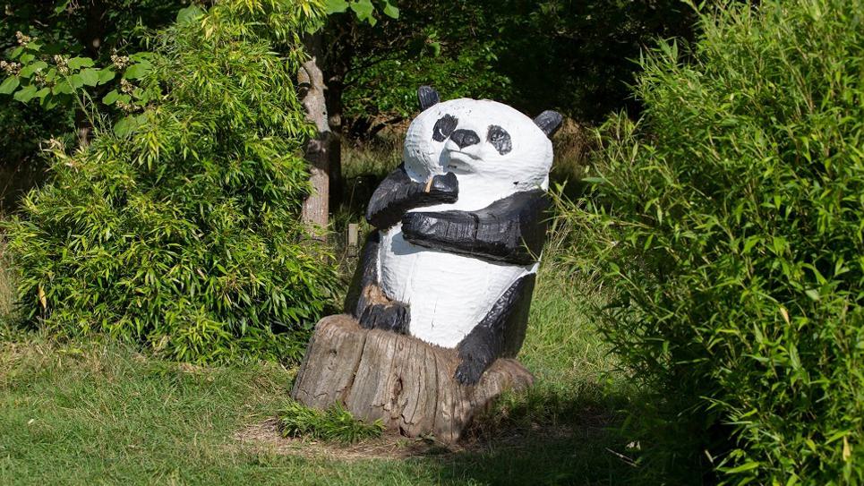 Panda at Nowton Park 965x540