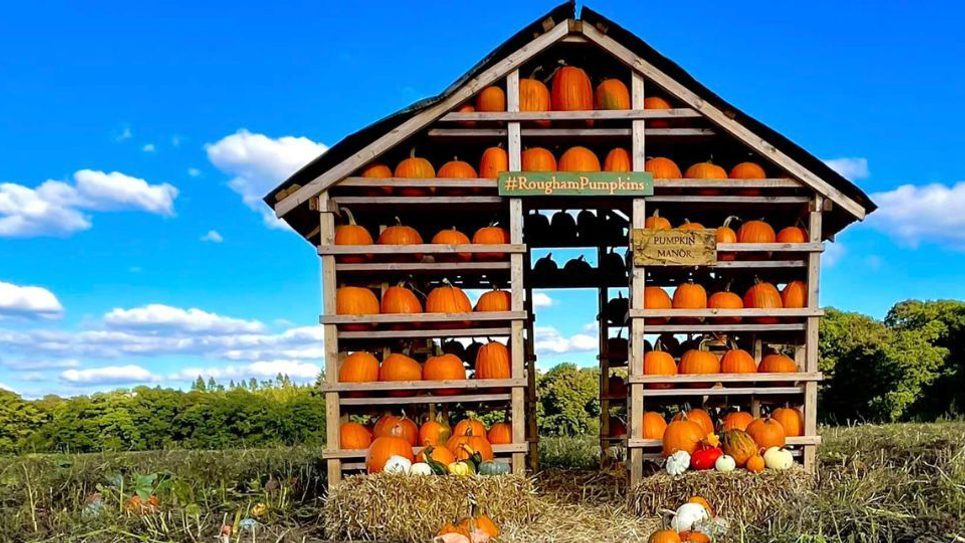 Rougham Pumpkins house 965x540