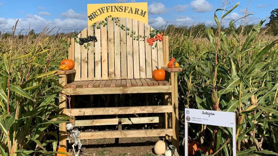 Ruffins Farm PYO Pumpkins 965x540