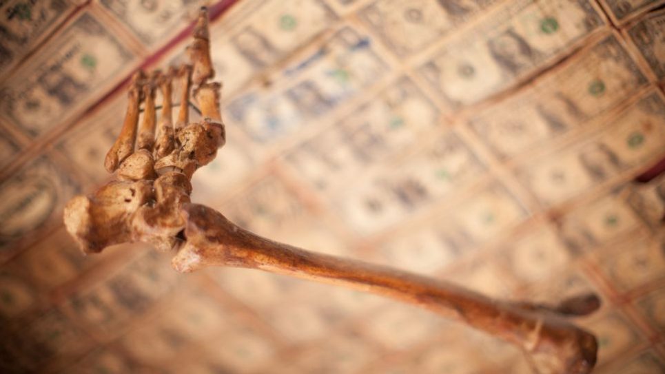 The Nutshell Skeleton Hand 965x540