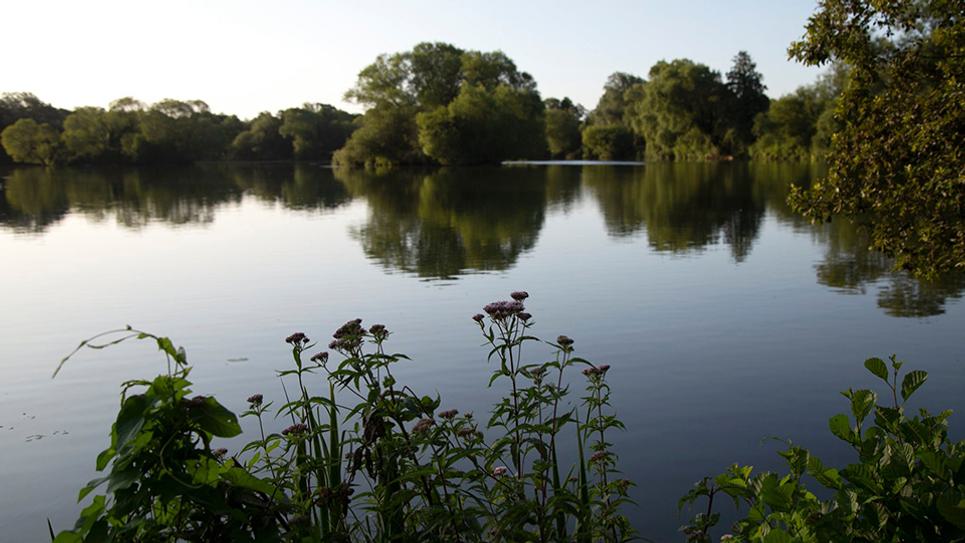 West Stow Country Park 965 x 540