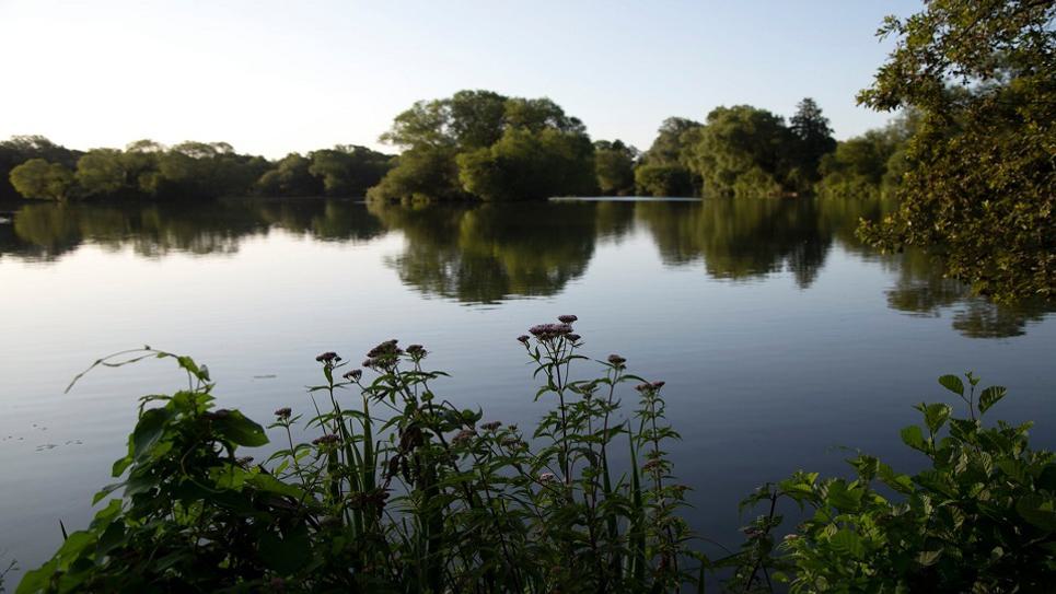 West Stow Country Park Lake Phil Morley 965x540