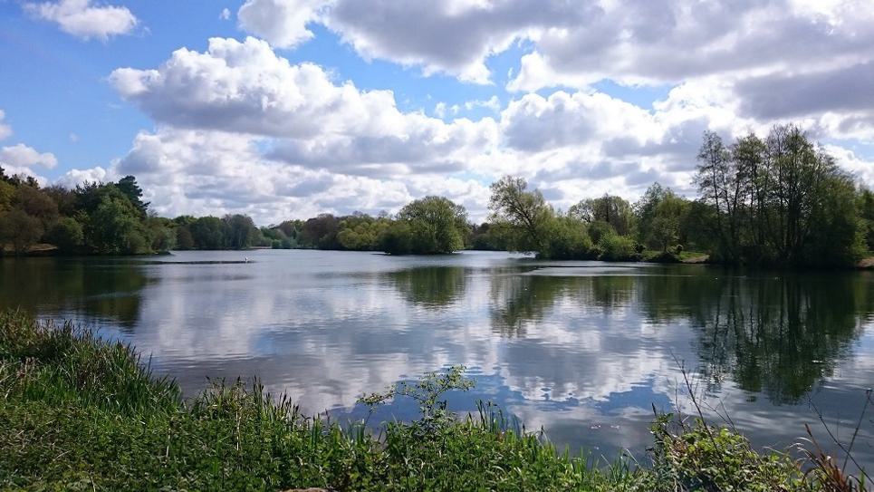 West Stow Country Park lake 965x540