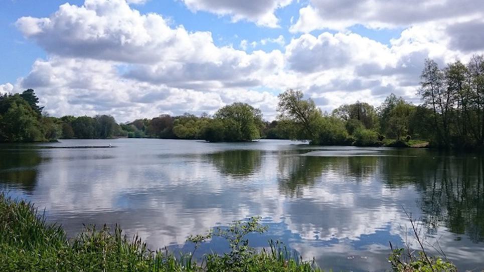 West Stow Country Park resized for blogs 2021