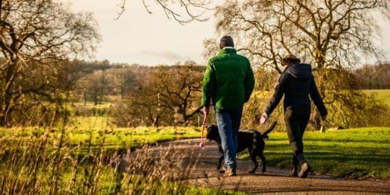 Ickworth welly walking 560x280