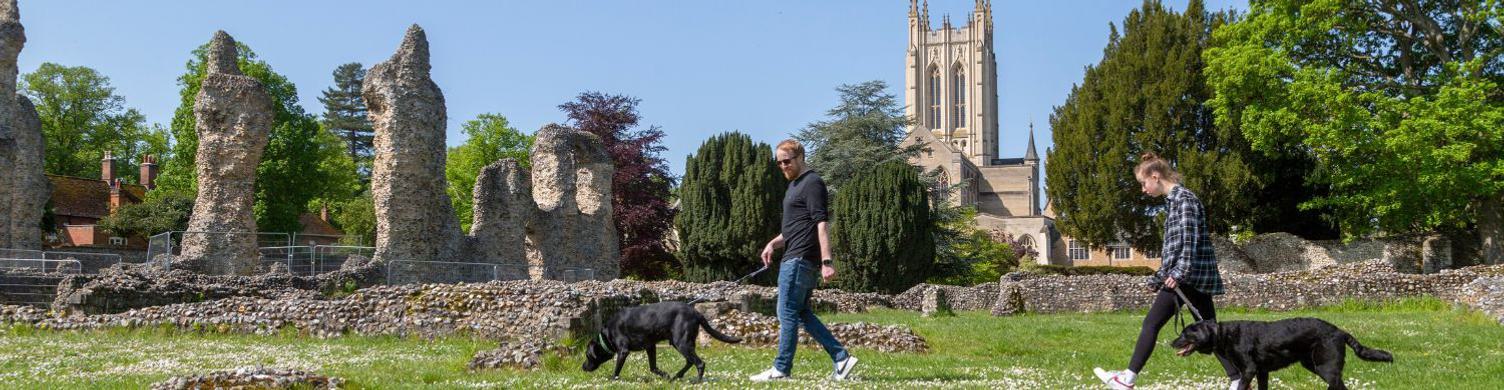 Abbey Ruins dogs on lead 1500x390