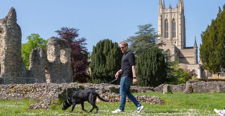 Abbey Ruins dogs on lead 1500x390