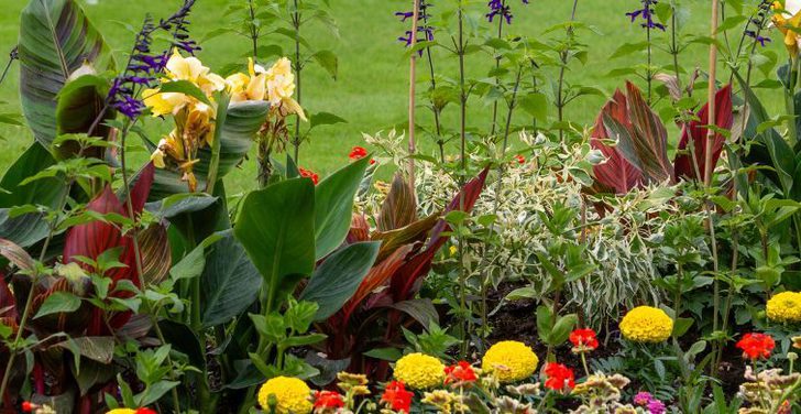 Abbey gardens hero 1500x390 2024