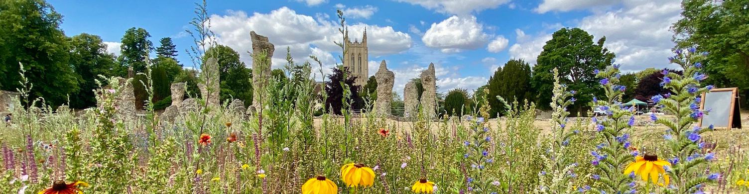 Abbey ruins from wildflower labyrinth Sue Warren 1500x390