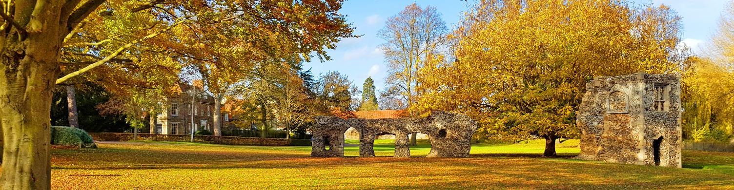 Autumn in the Abbey Gardens Amy Martin 1500x390