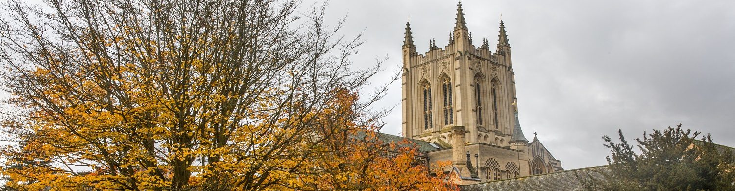 10 Ways to Make Memories in Bury St Edmunds This Autumn