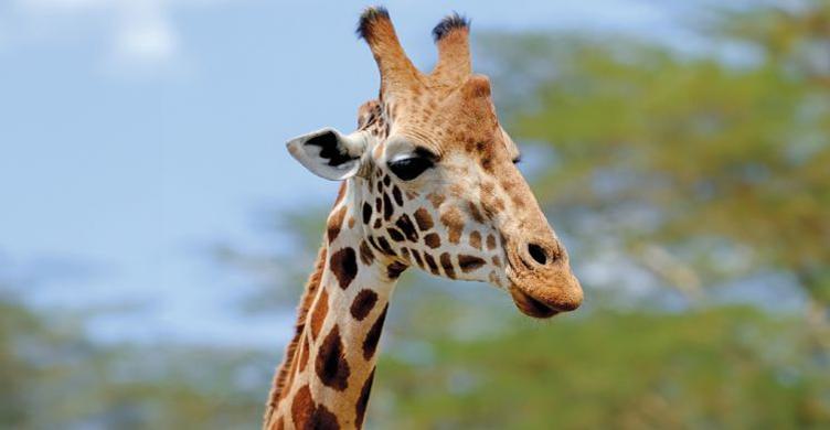 Banham Zoo 750x390 1