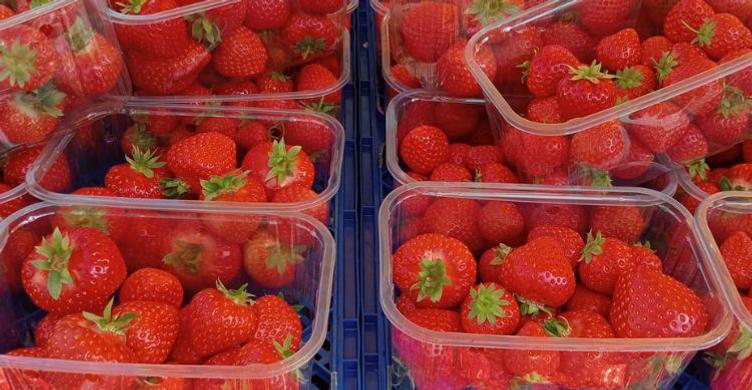 Bury St Edmunds Market Strawberries 750x390