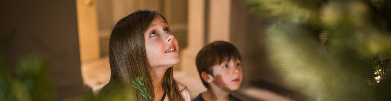 Parents Guide to Pre Christmas Entertainment