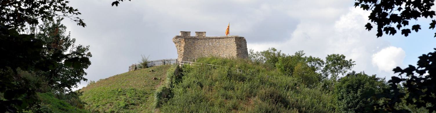 Clare Castle Close Up Rebecca Austin 1500x390