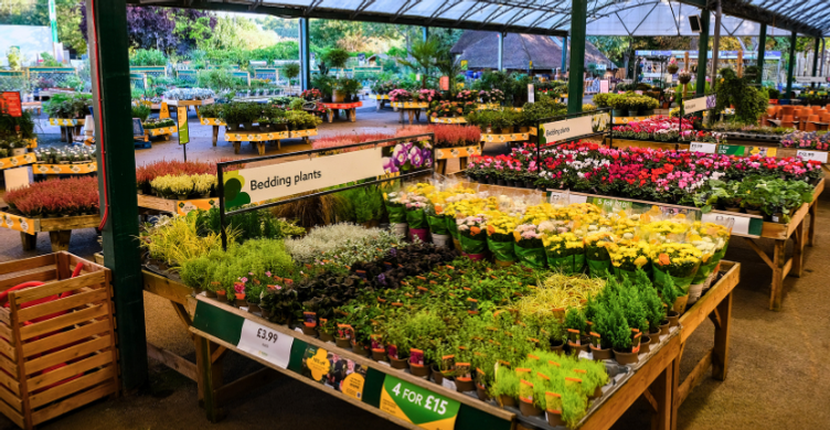 Dobbies Garden Centre 4
