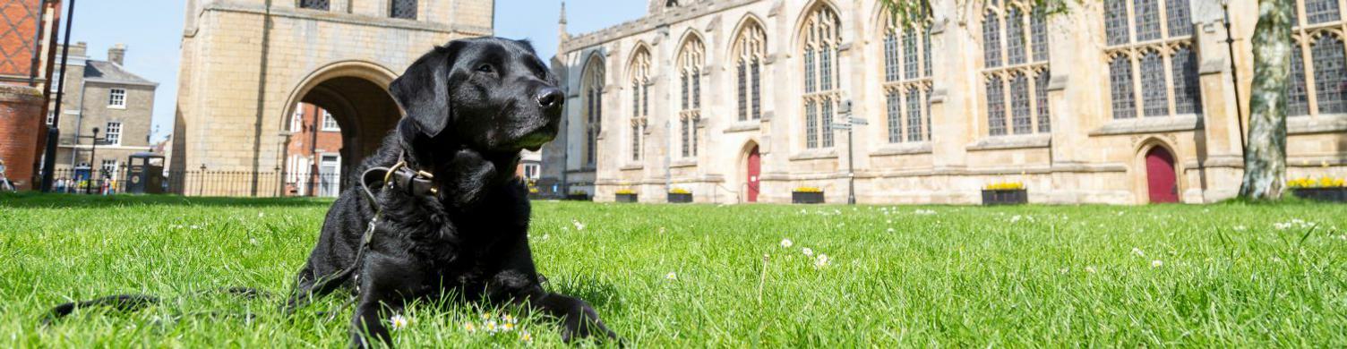 Dog Friendly Bury St Edmunds 1500x390 2