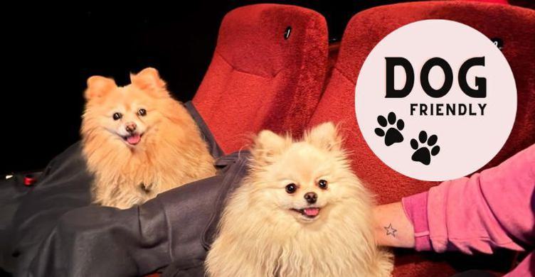Dog Friendly Screenings Abbeygate Cinema 750x390