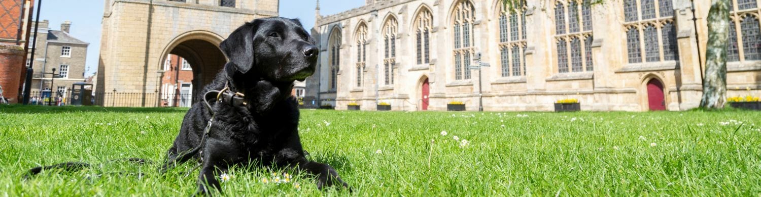 Bury St Edmunds Finalists in National Dog Friendly Awards 2024