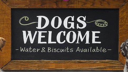 Dogs Welcome Sign 1500x390