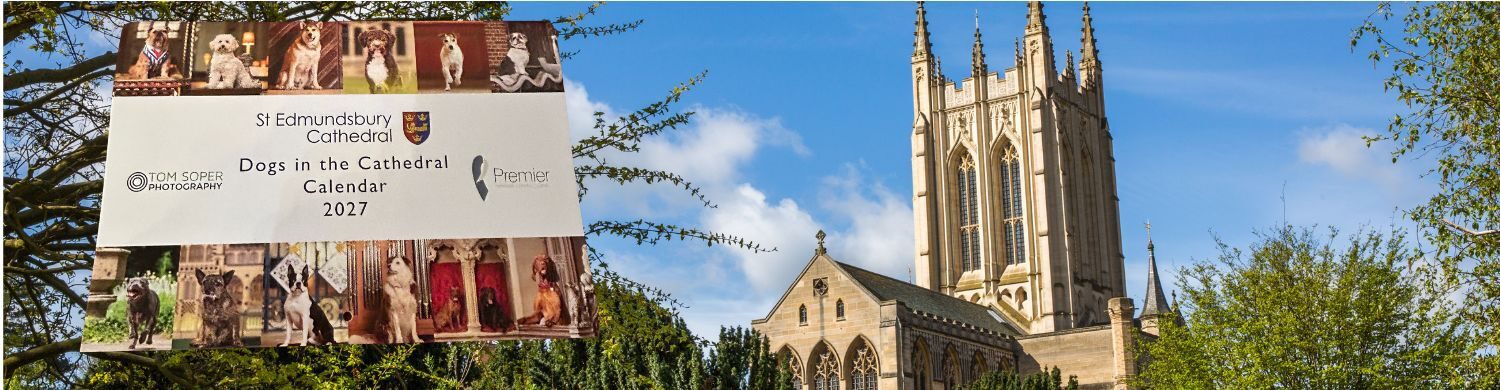 St Edmundsbury Cathedral Launches 2027 Dogs In The Cathedral Calendar